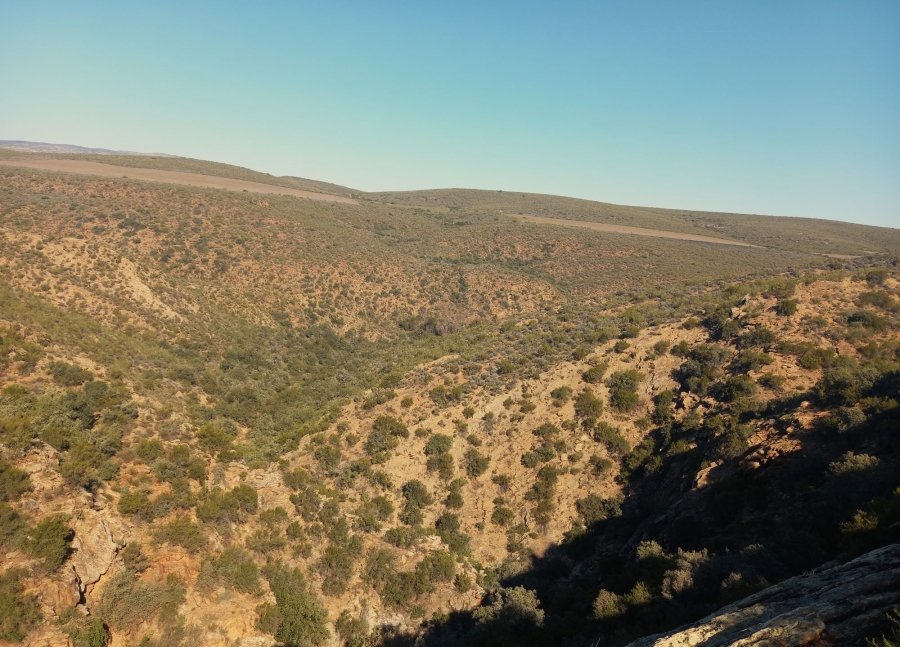 Commercial Property for Sale in George Rural Western Cape